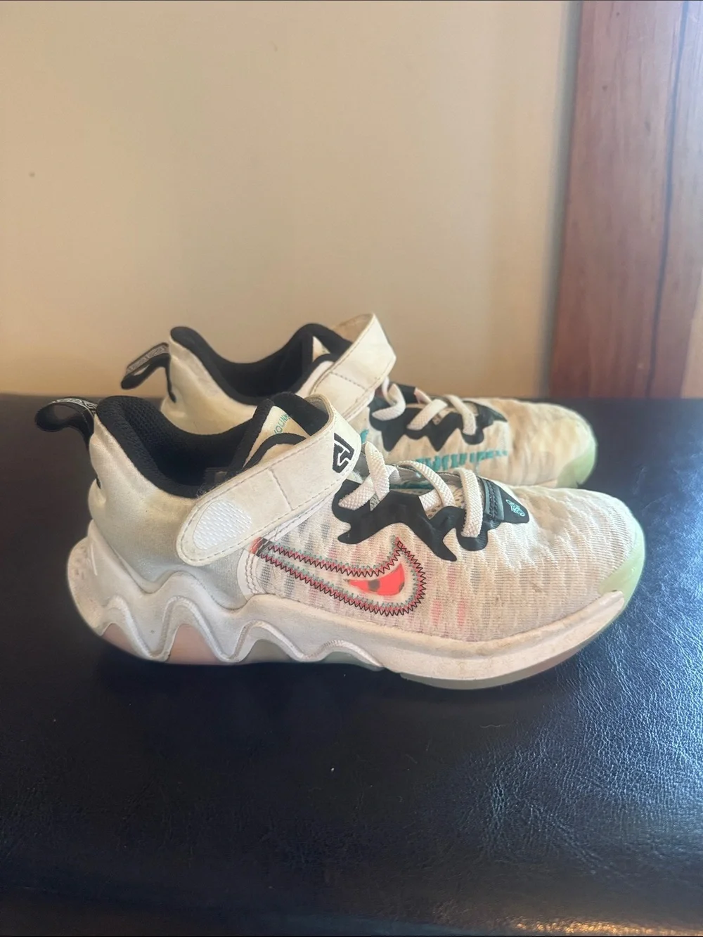 Nike Giannis basketball shoes